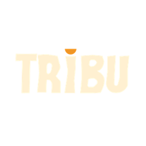 TRIBU Atelier de ceramică